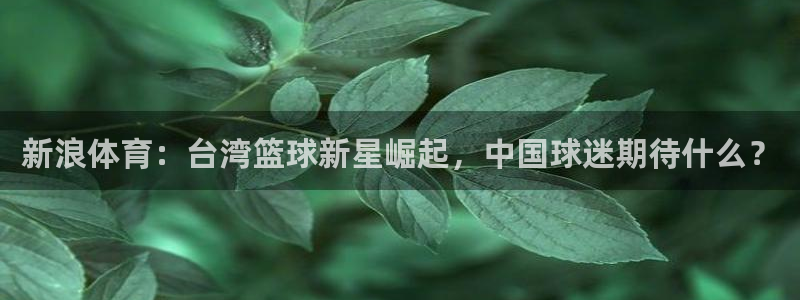 24直播网体育在线直播nba：新浪体育：台湾篮球新星崛起，中国球迷期待什么？