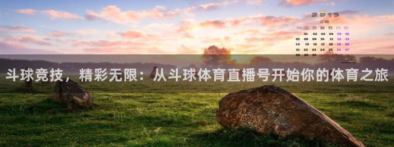 体育直播24直播网：斗球竞技，精彩无限：从斗球体育直播号开始你的体育之旅