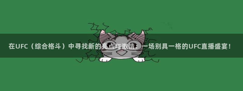 24直播体育：在UFC（综合格斗）中寻找新的亮点与激情：一场别具一格的UFC直播盛宴！