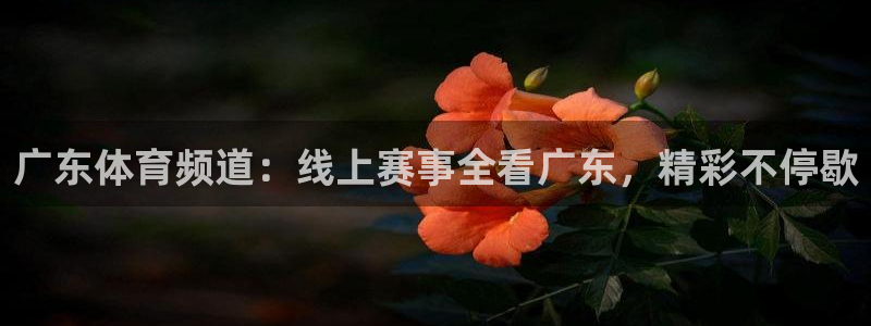 24直播吧nba在线直播：广东体育频道：线上赛事全看广东，精彩不停歇