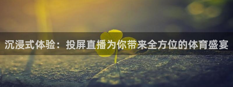 24直播篮球网：沉浸式体验：投屏直播为你带来全方位的体育盛宴