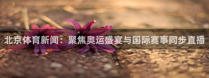 24直播网址：北京体育新闻：聚焦奥运盛宴与国际赛事同步直播
