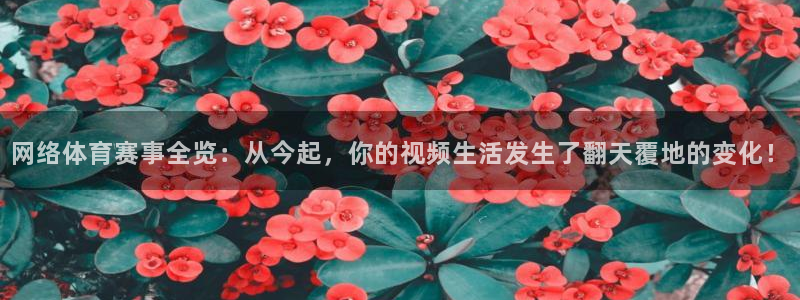 英超直播24直播网：网络体育赛事全览：从今起，你的视频生活发生了翻天覆地的变化！