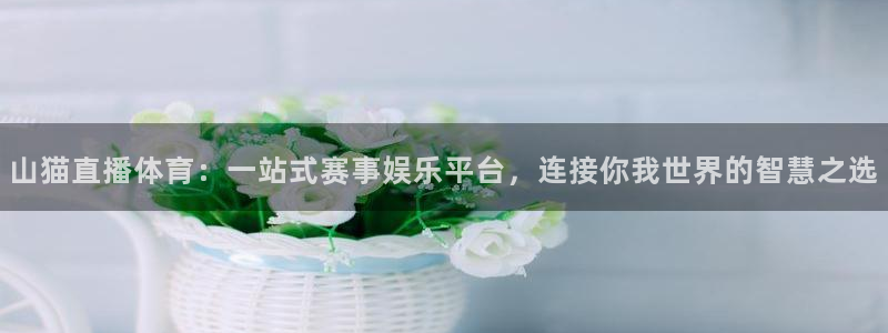 24直播网nba直播jrs