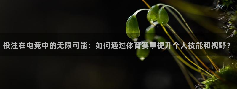 24直播网app下载