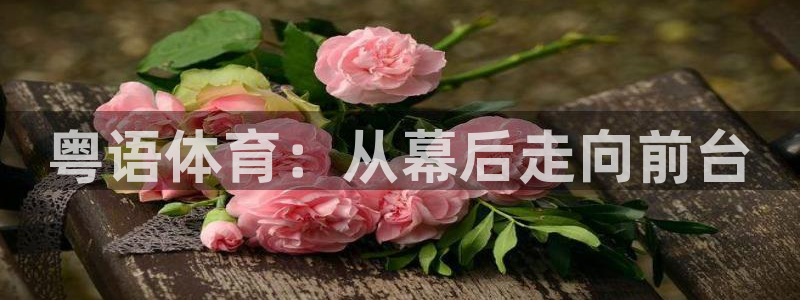 24直播网官网下载